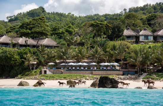 Nihi Sumba Wild Sumba Horses on the beach