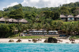 Wild Sumba Horses on the beach, Nihi Sumba perfect for a family surf trip