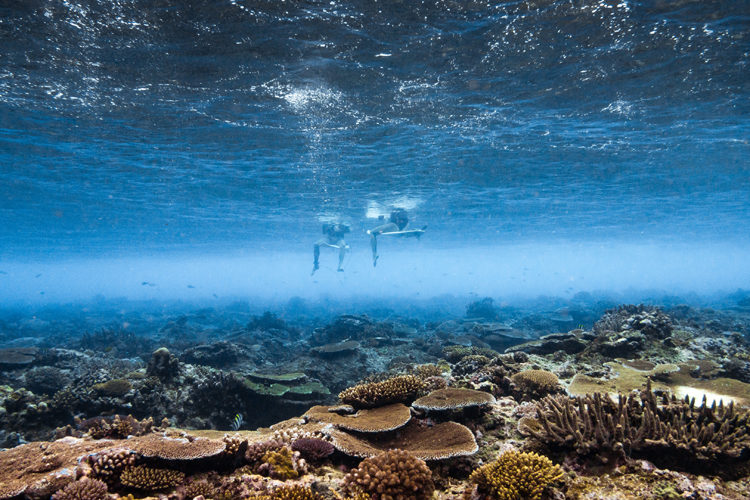 Six Senses Fiji Surfers