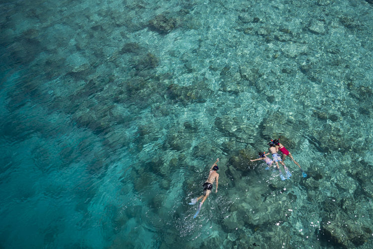 Anantara Dhigu family snorkeling at Ghuli Fushi