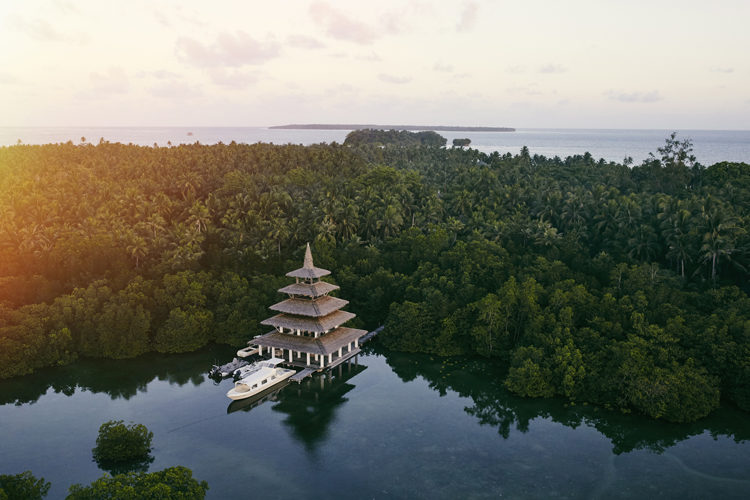 Nay Palad Hideaway mangroves