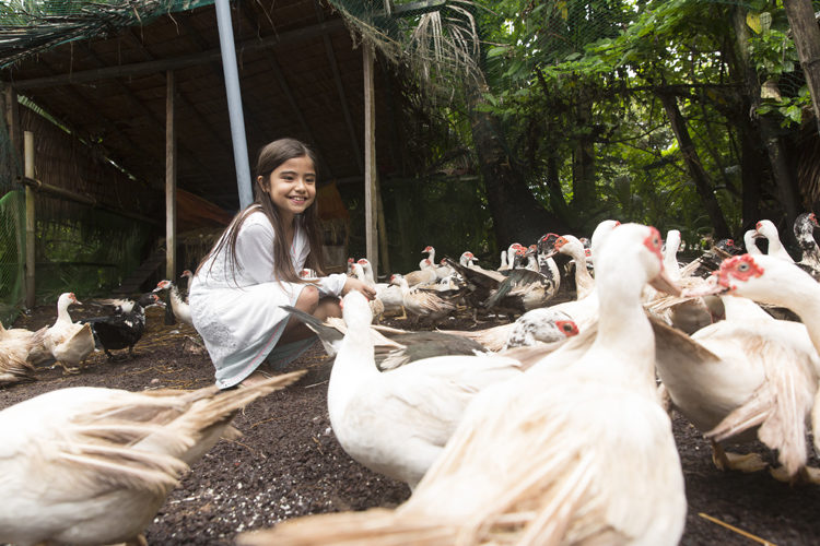 Nay Palad's little farm