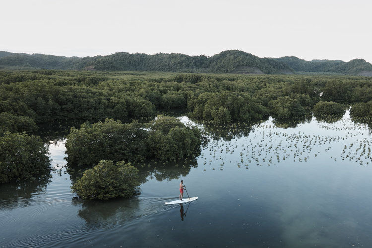 Nay Palad stand up paddle boarding