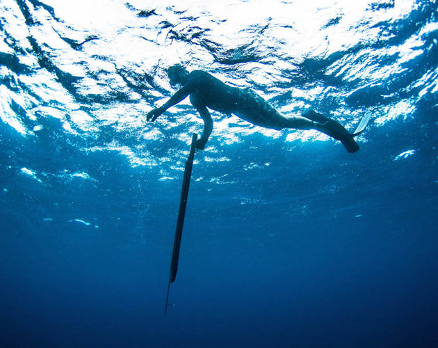 spearfishing at resort latitude zero