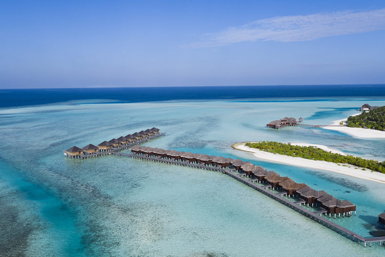 family surf resort maldives