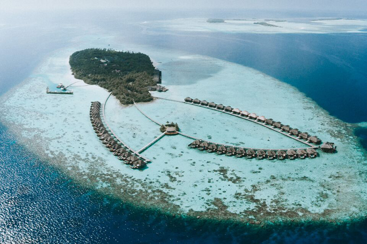 Ayada maldives сколько стоит